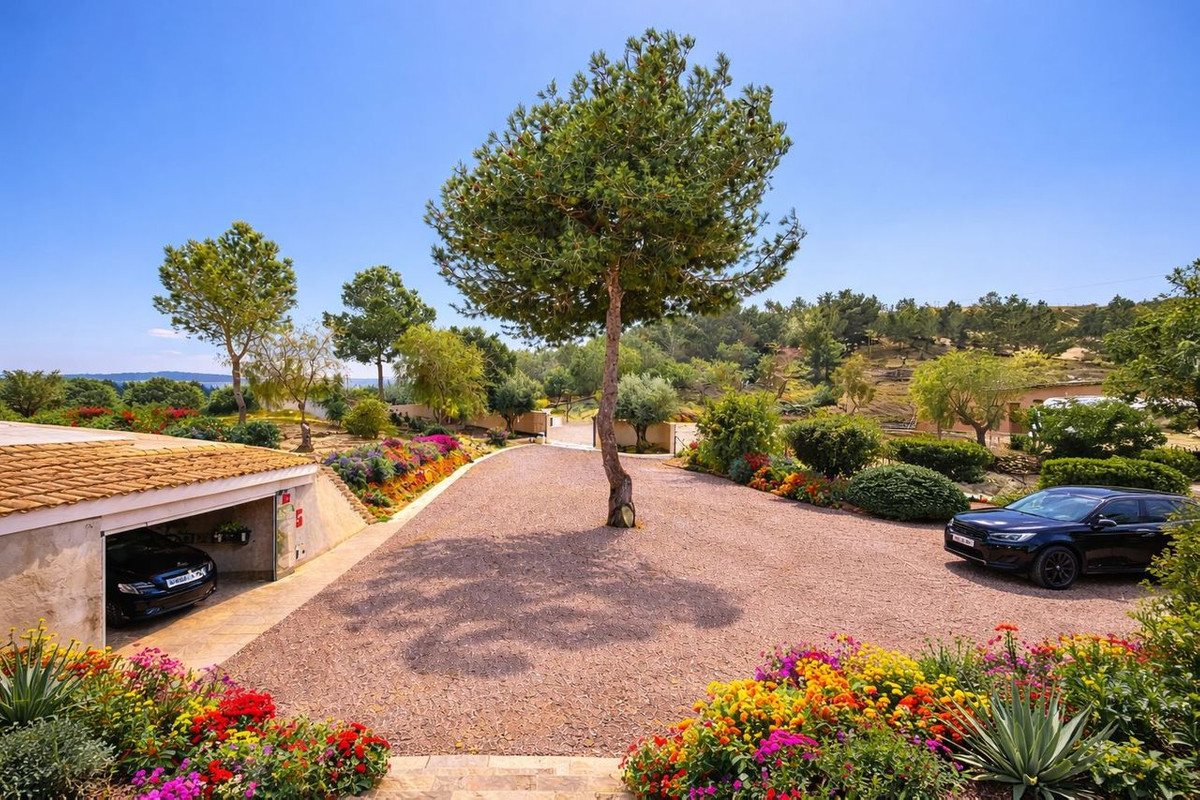 Property main view 42