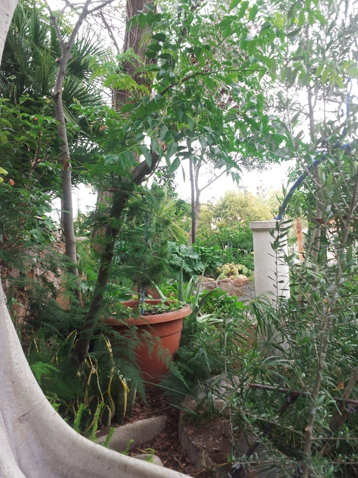 Huis te koop in Torremolinos | 5 slaapkamers H5339197