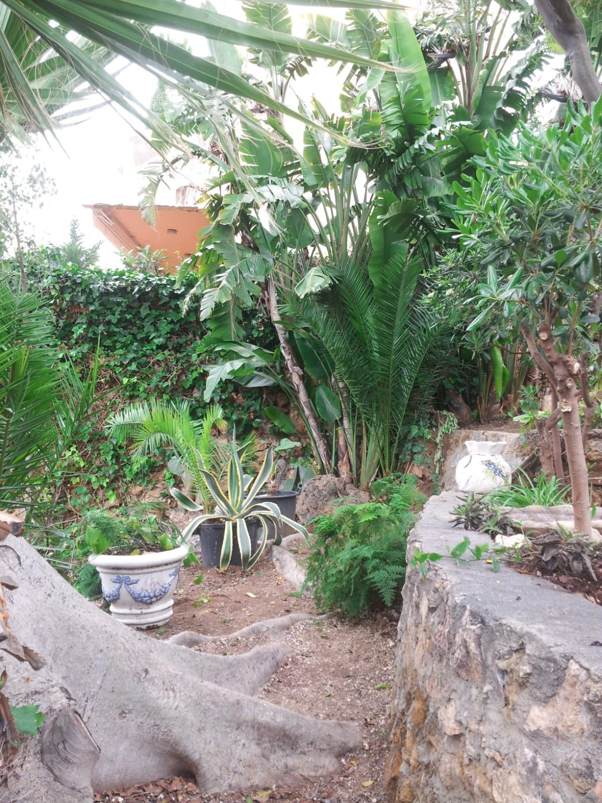 Huis te koop in Torremolinos | 5 slaapkamers H5339197