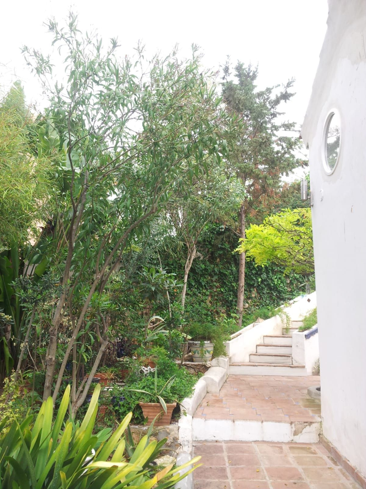 Huis te koop in Torremolinos | 5 slaapkamers H5339197