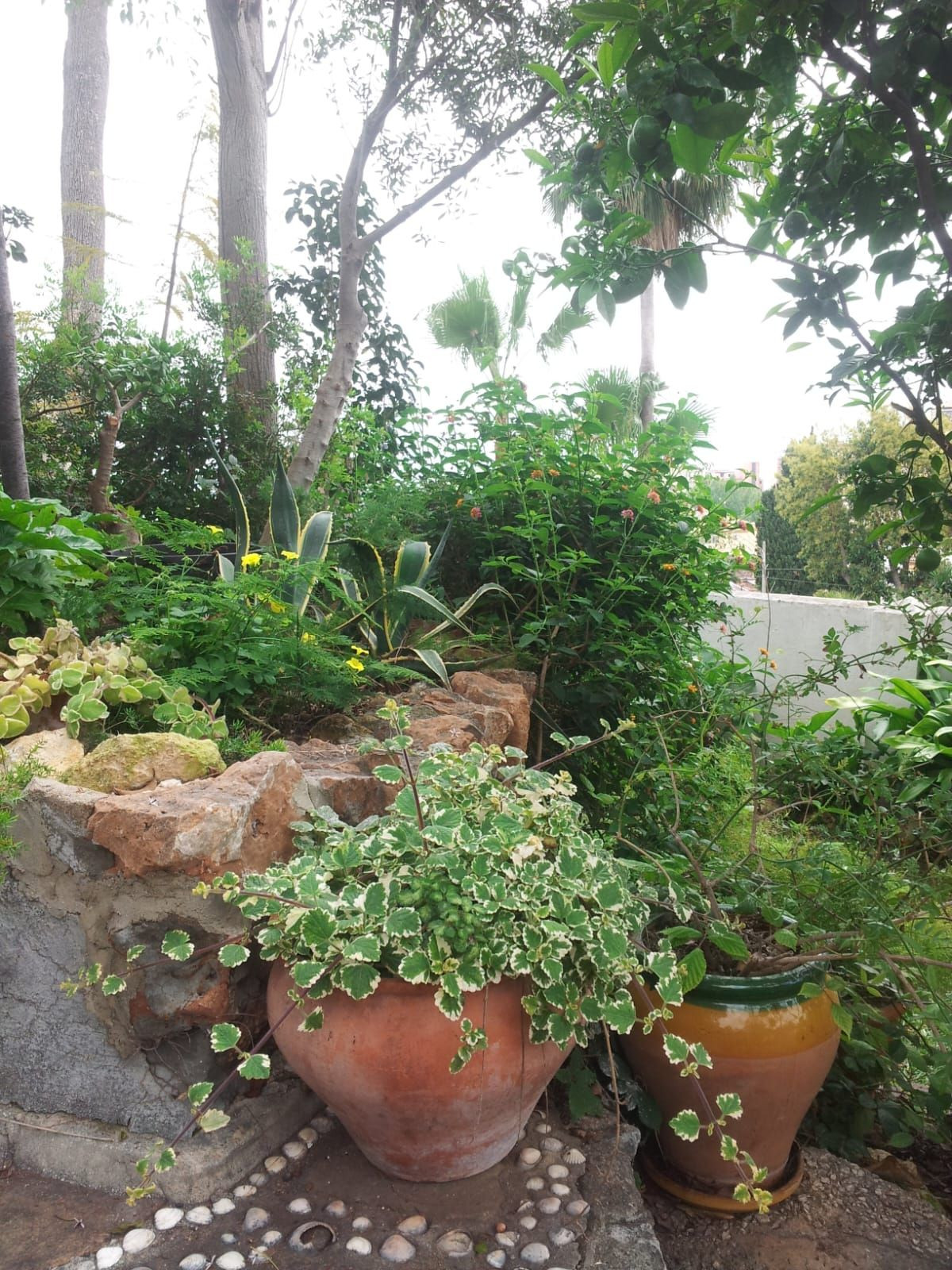 Huis te koop in Torremolinos | 5 slaapkamers H5339197