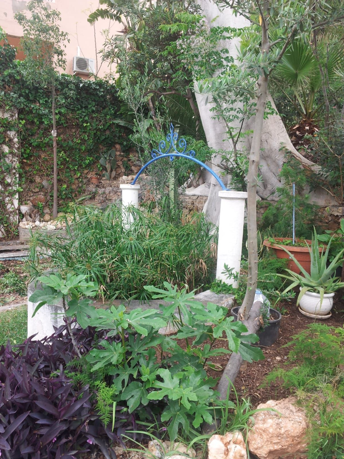 Huis te koop in Torremolinos | 5 slaapkamers H5339197