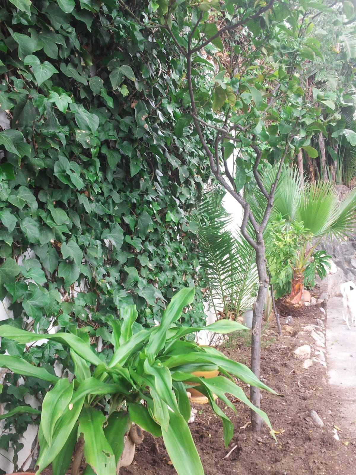 Huis te koop in Torremolinos | 5 slaapkamers H5339197