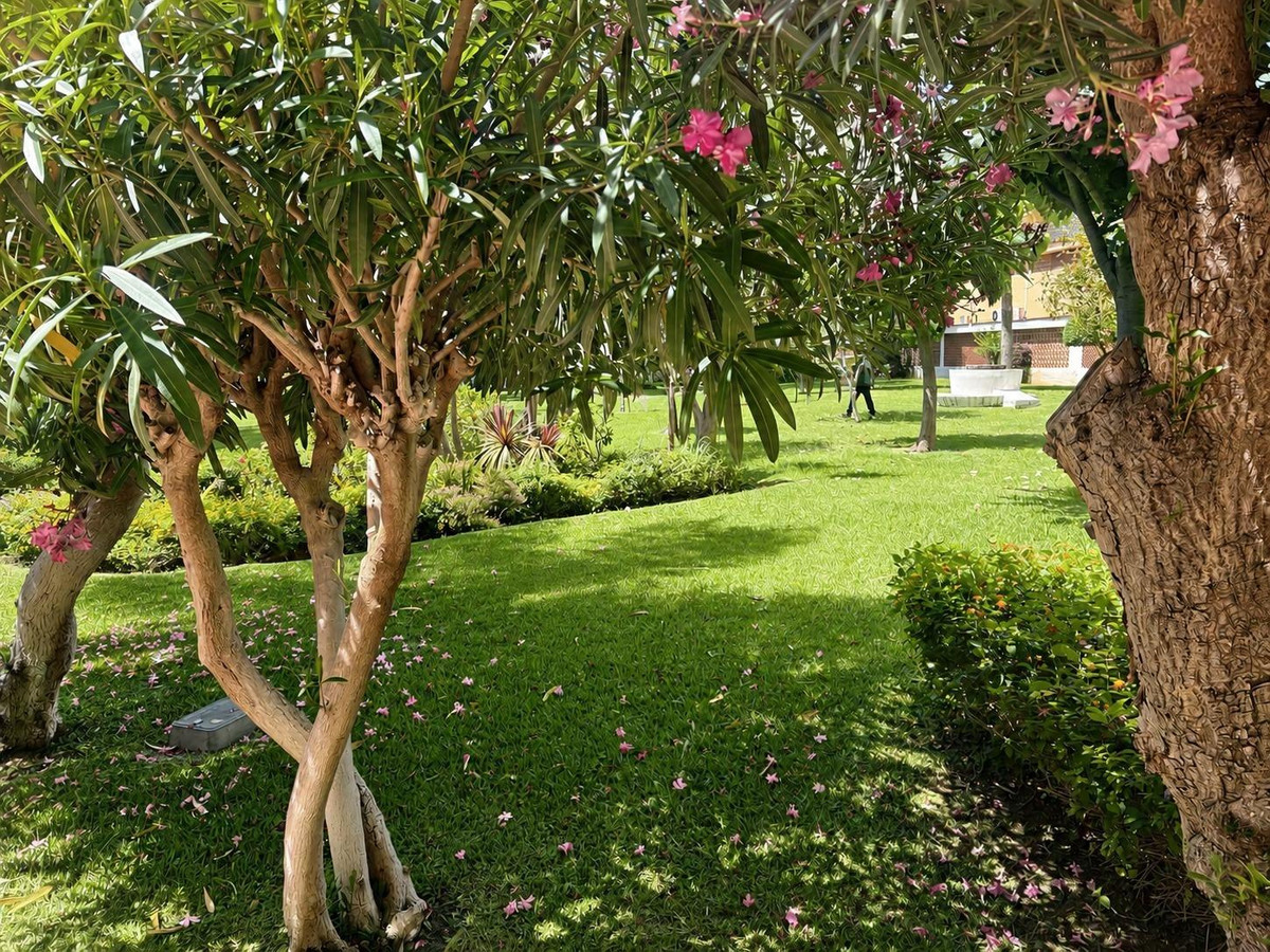Property main view 23
