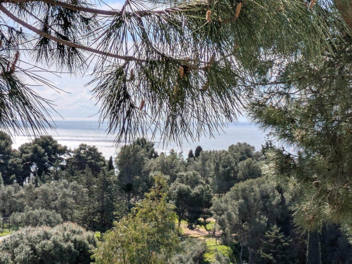 Property main view 50