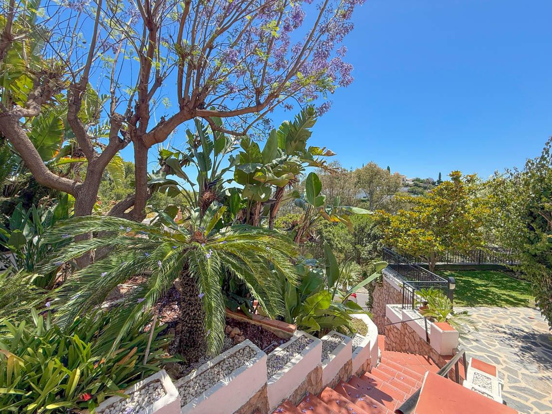 Property main view 41