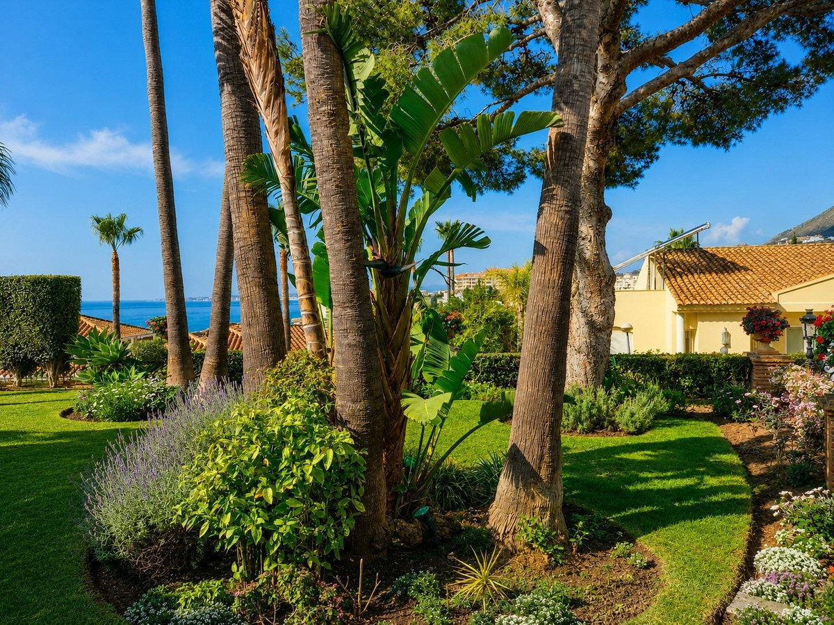 Property main view 34