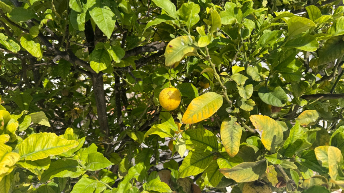 Property main view 3