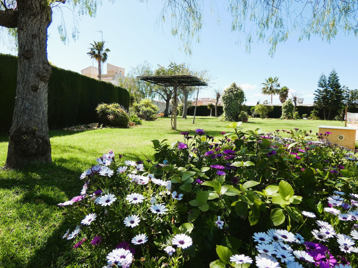 Property main view 41