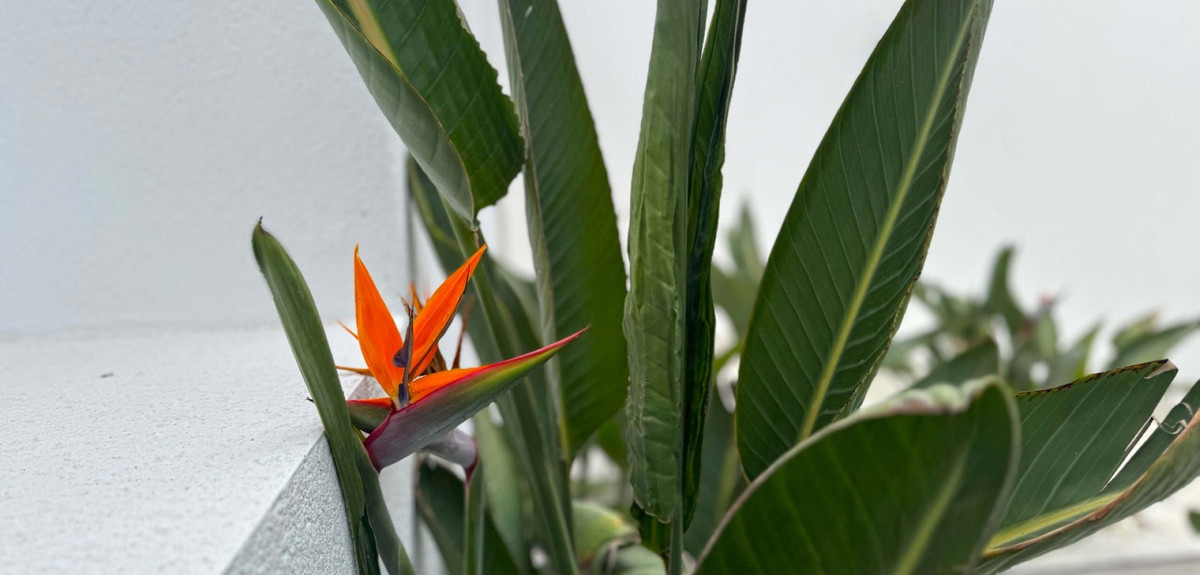 Property main view 12