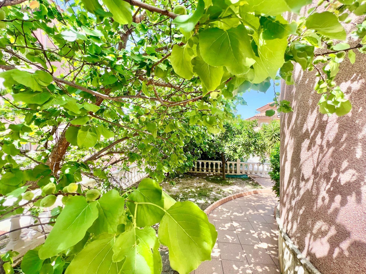 Property main view 19