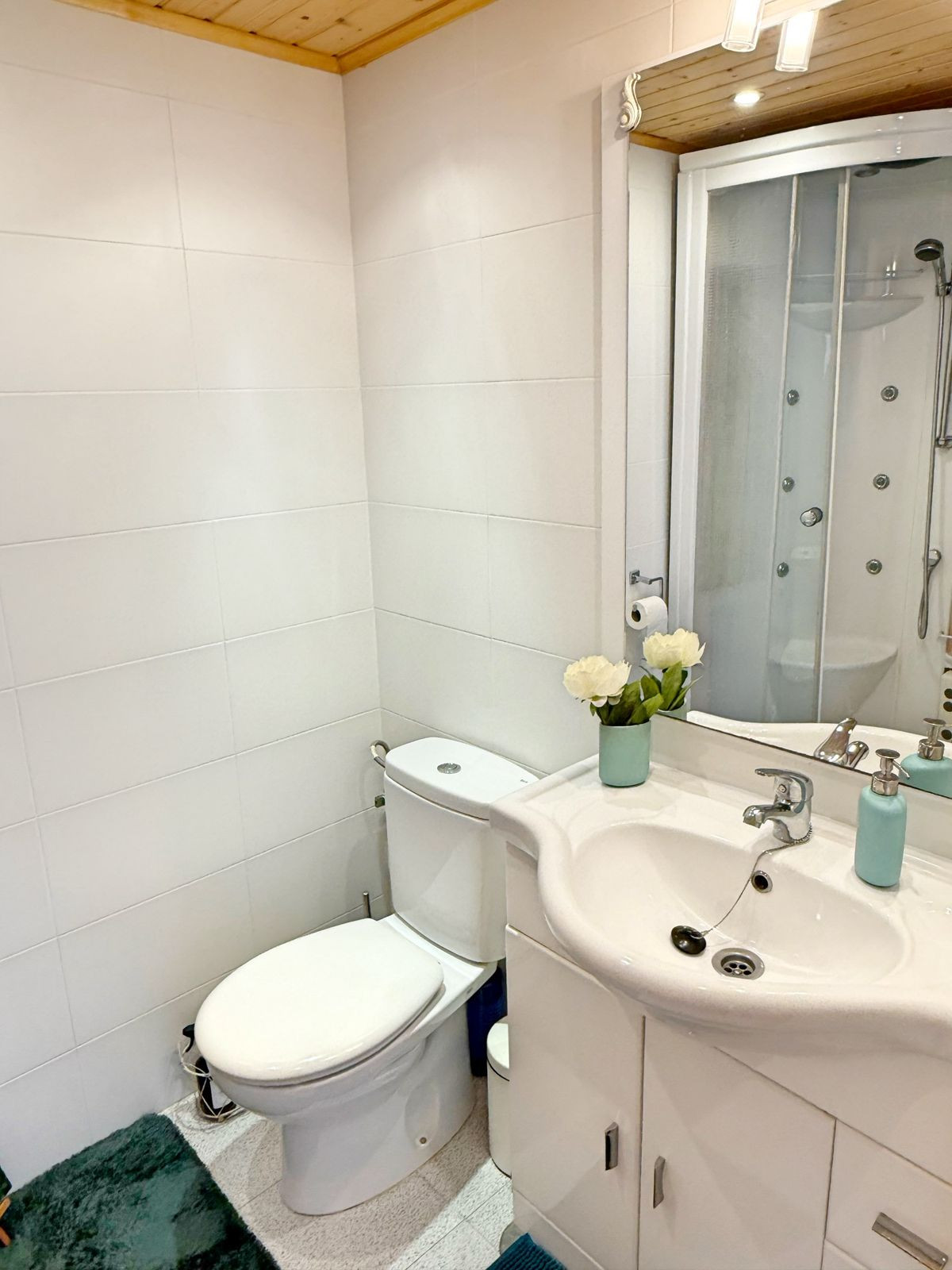 Property main view 13