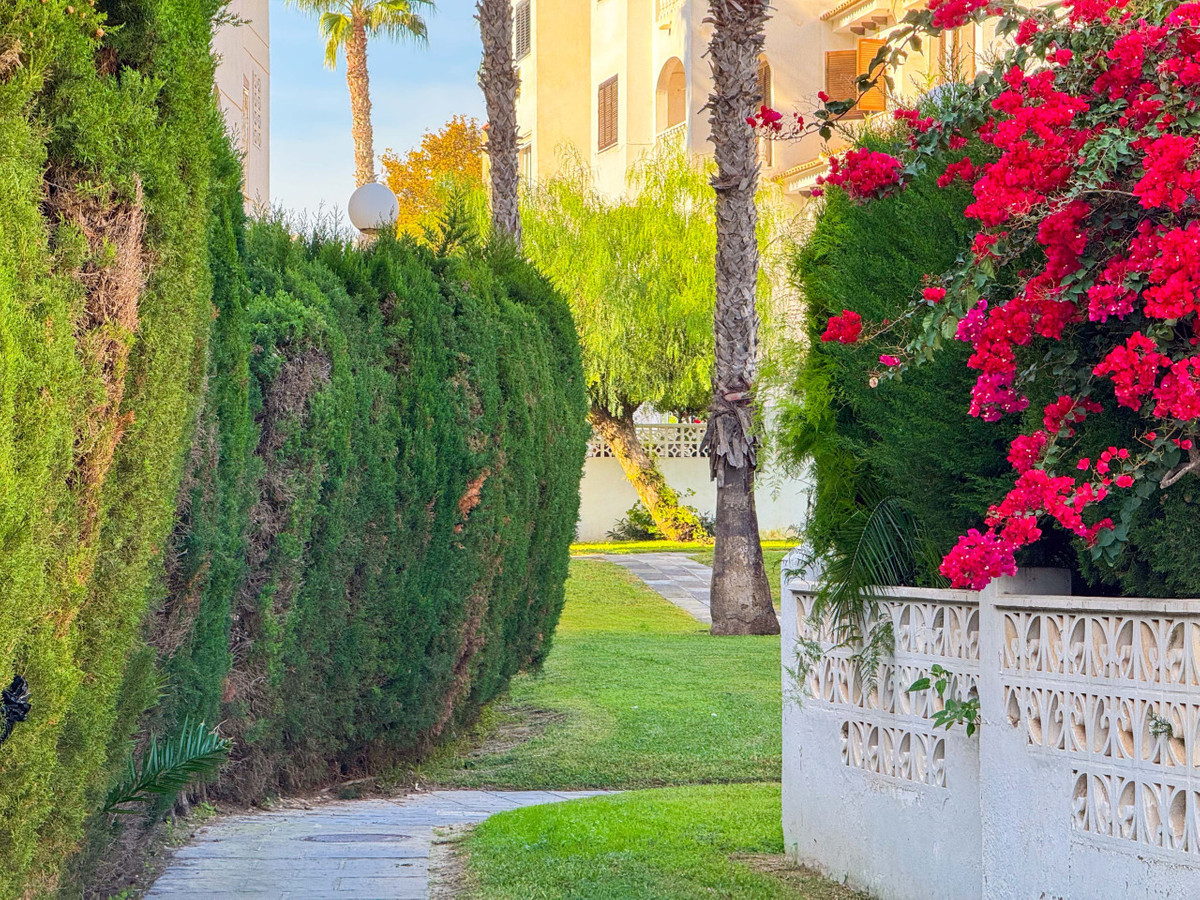 Appartement te koop in Torrevieja | 1 slaapkamers H5303218