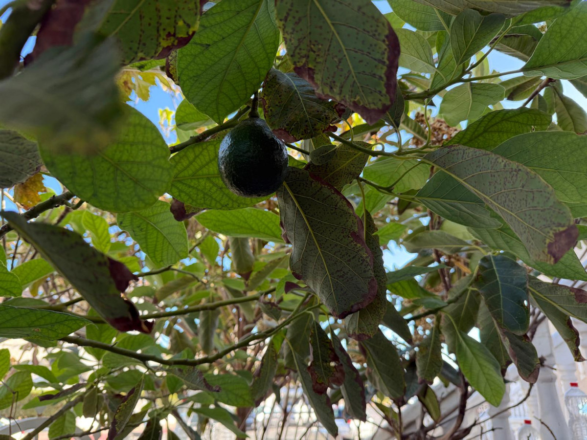 Property main view 13