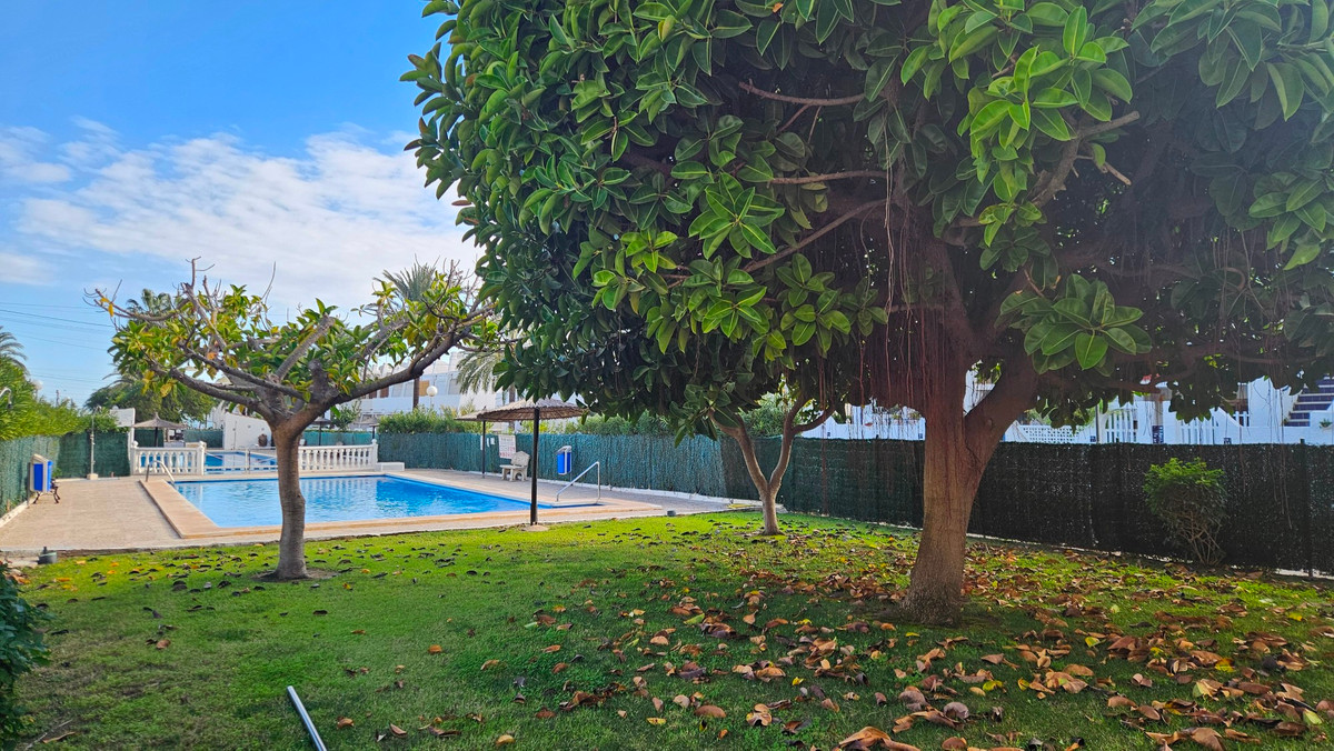 Huis te koop in Torrevieja | 1 slaapkamers H5406970