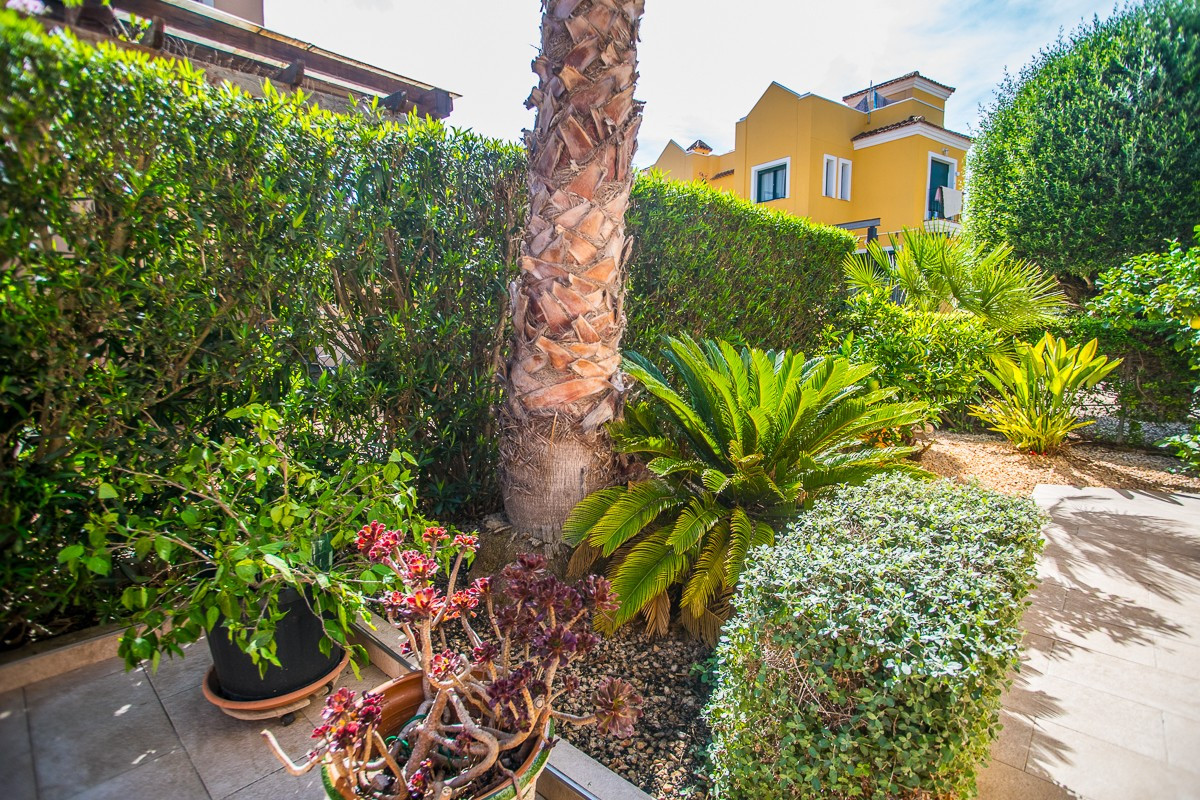 Huis te koop in Torrevieja | 4 slaapkamers H5513392