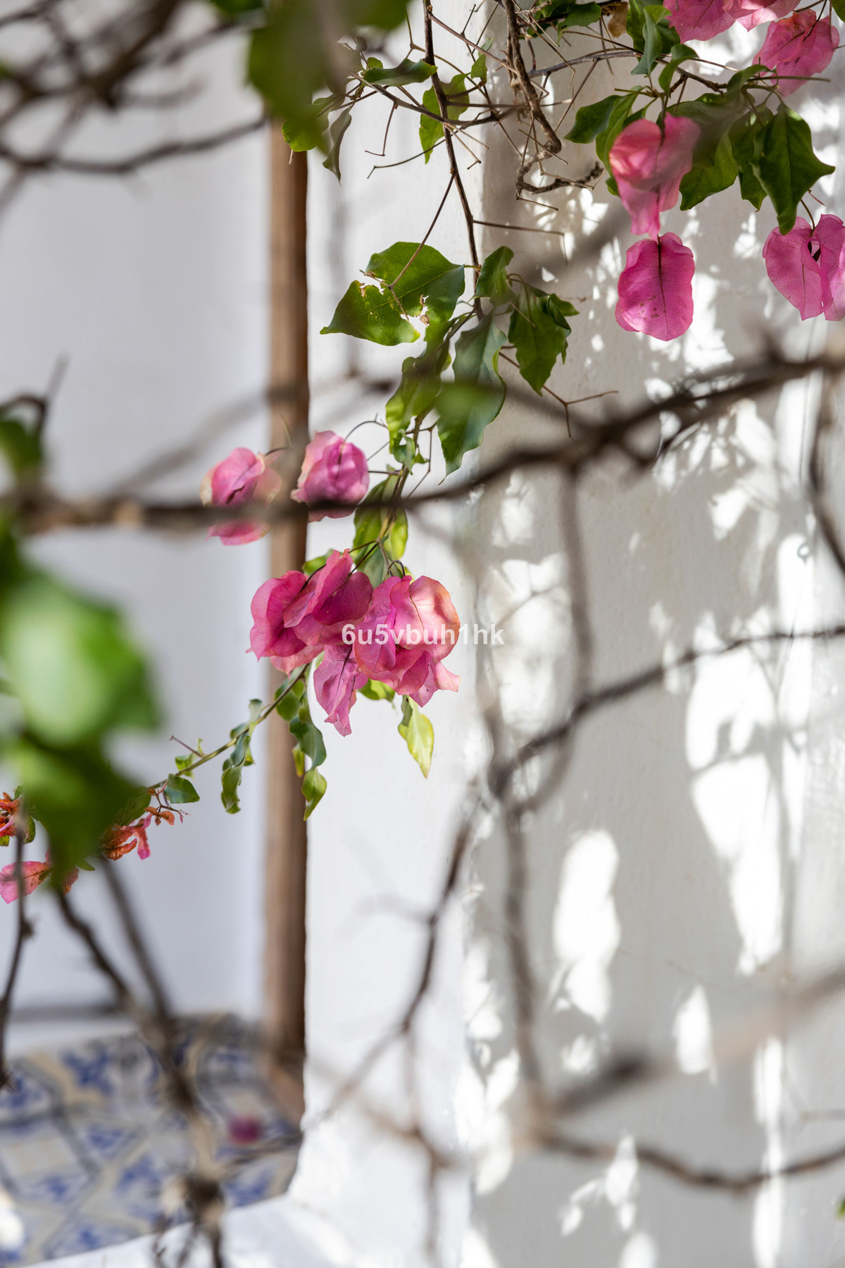 Property main view 43