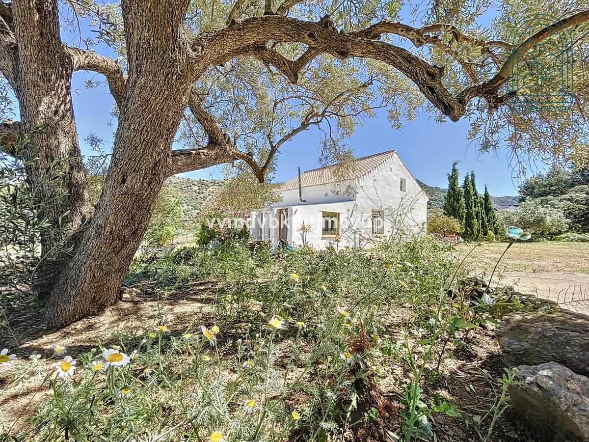 Finca - Cortijo in Torrox-1