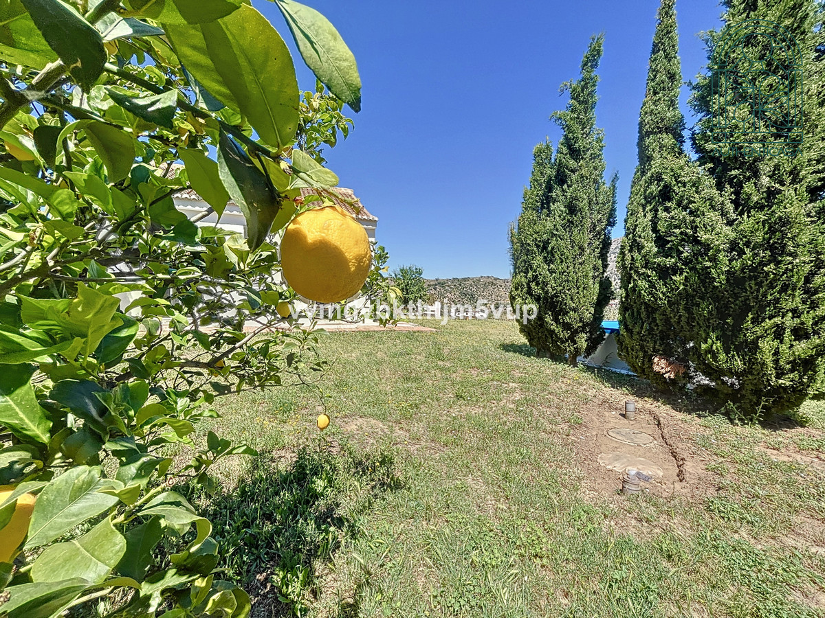 Finca - Cortijo in Torrox-13