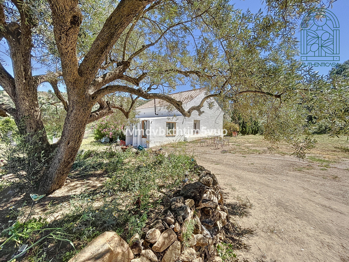 Finca - Cortijo in Torrox-50