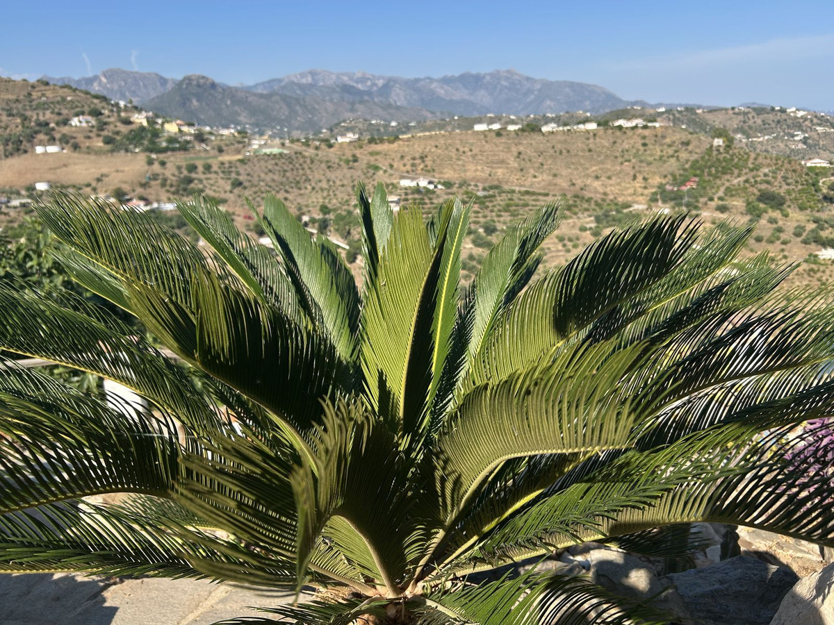 Property main view 3