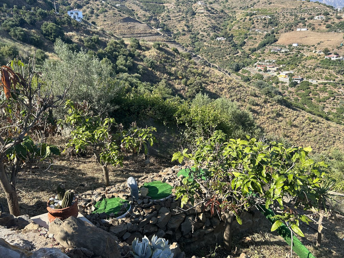 Property main view 31
