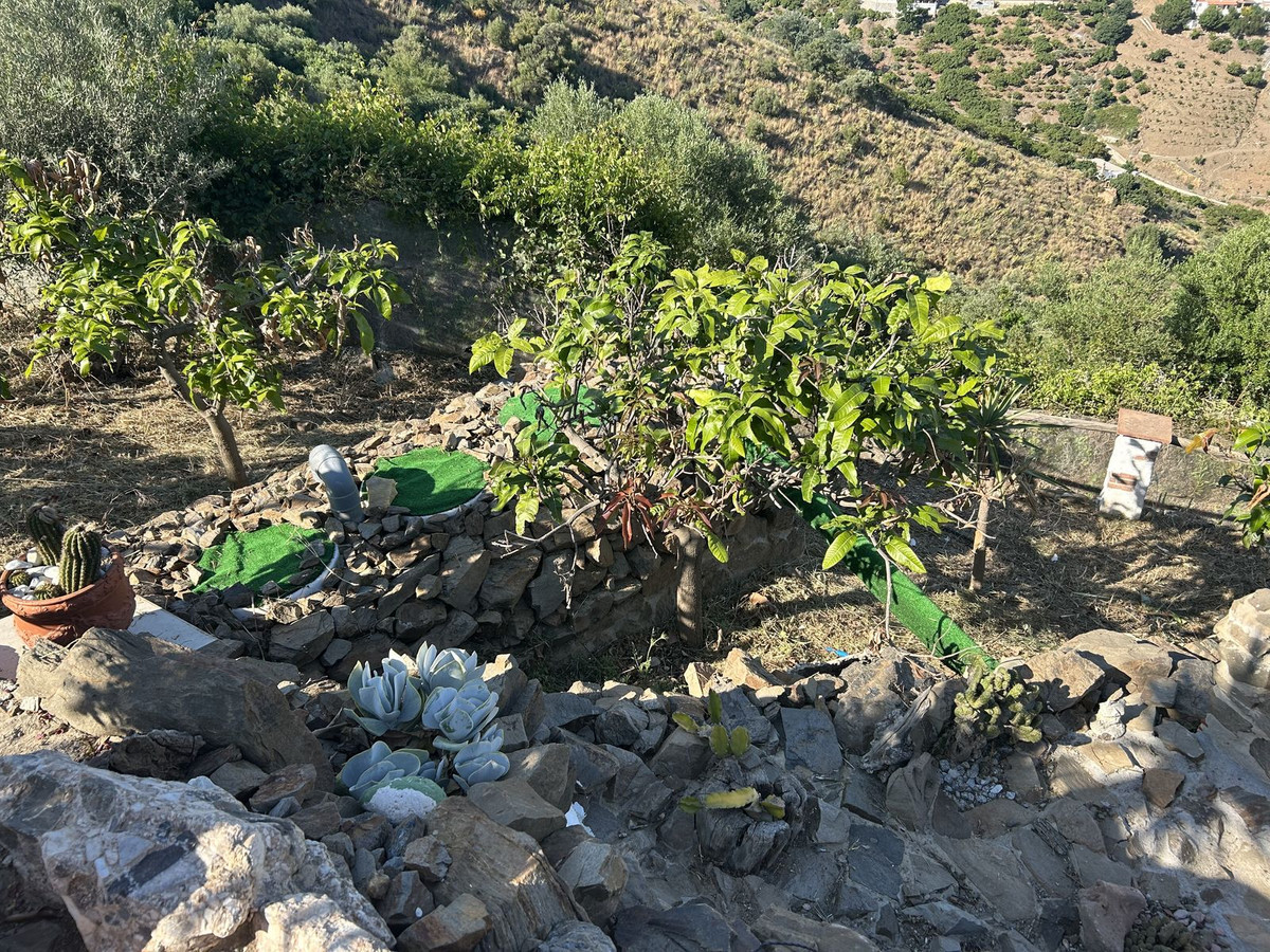 Property main view 32