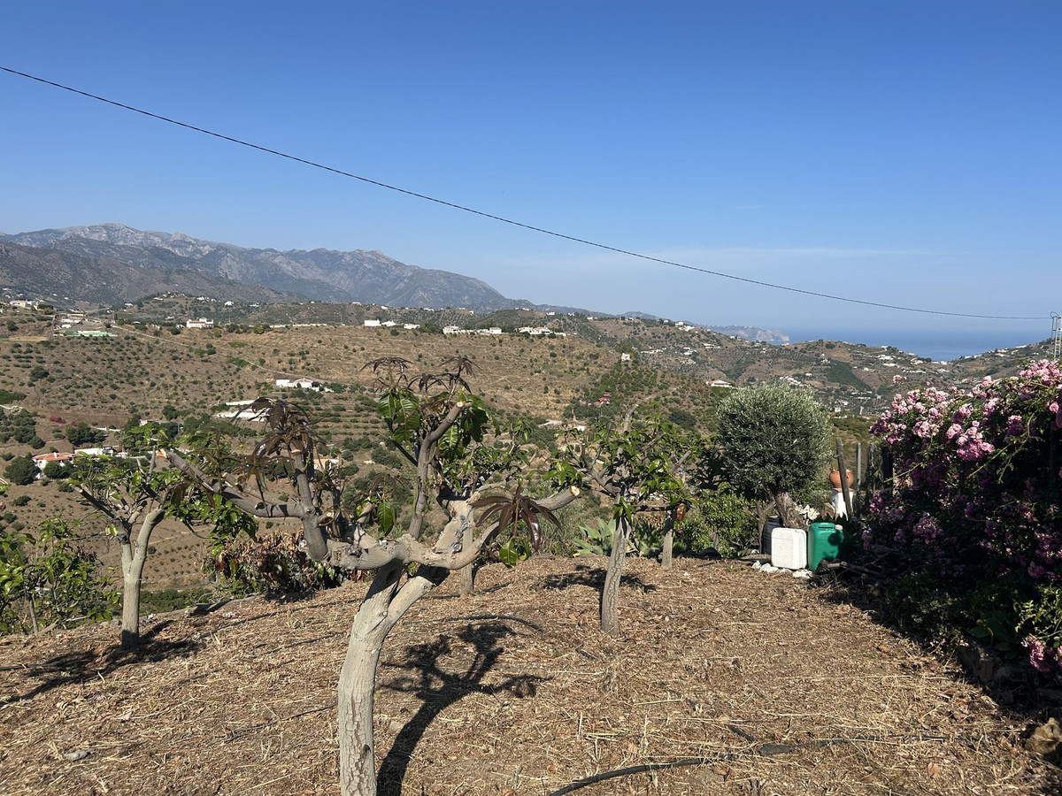 Property main view 35