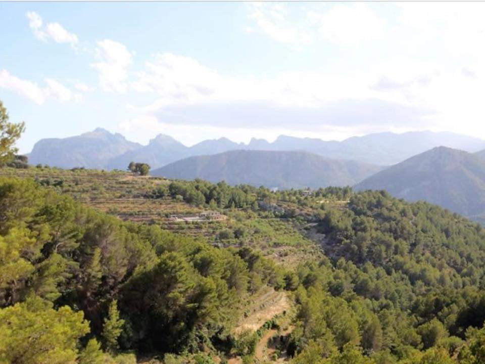 Property main view 9