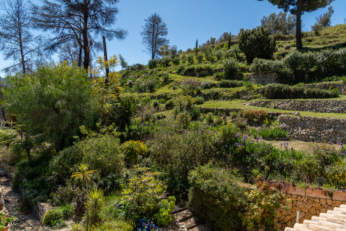 Property main view 42