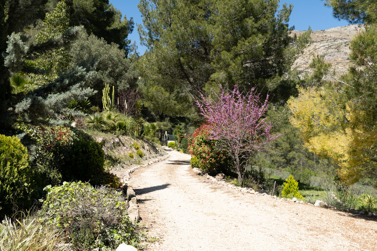 Property main view 43