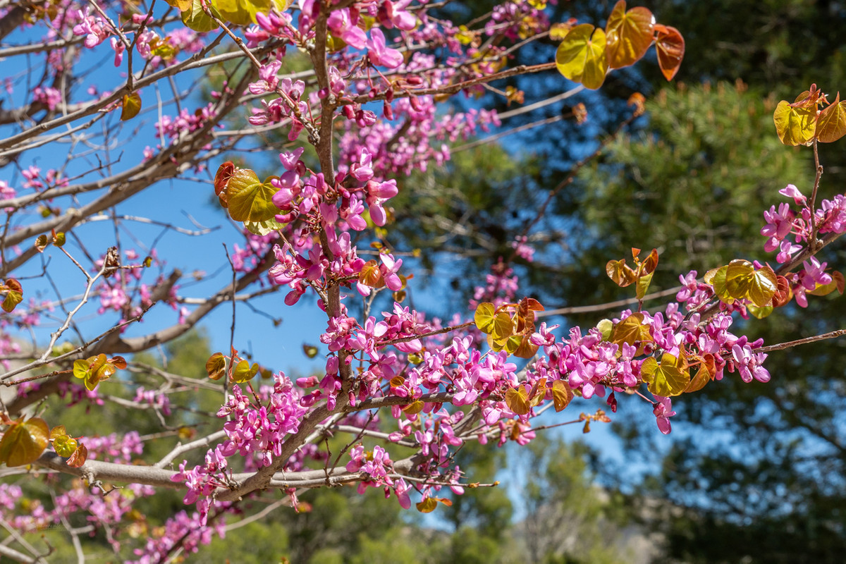 Property main view 44