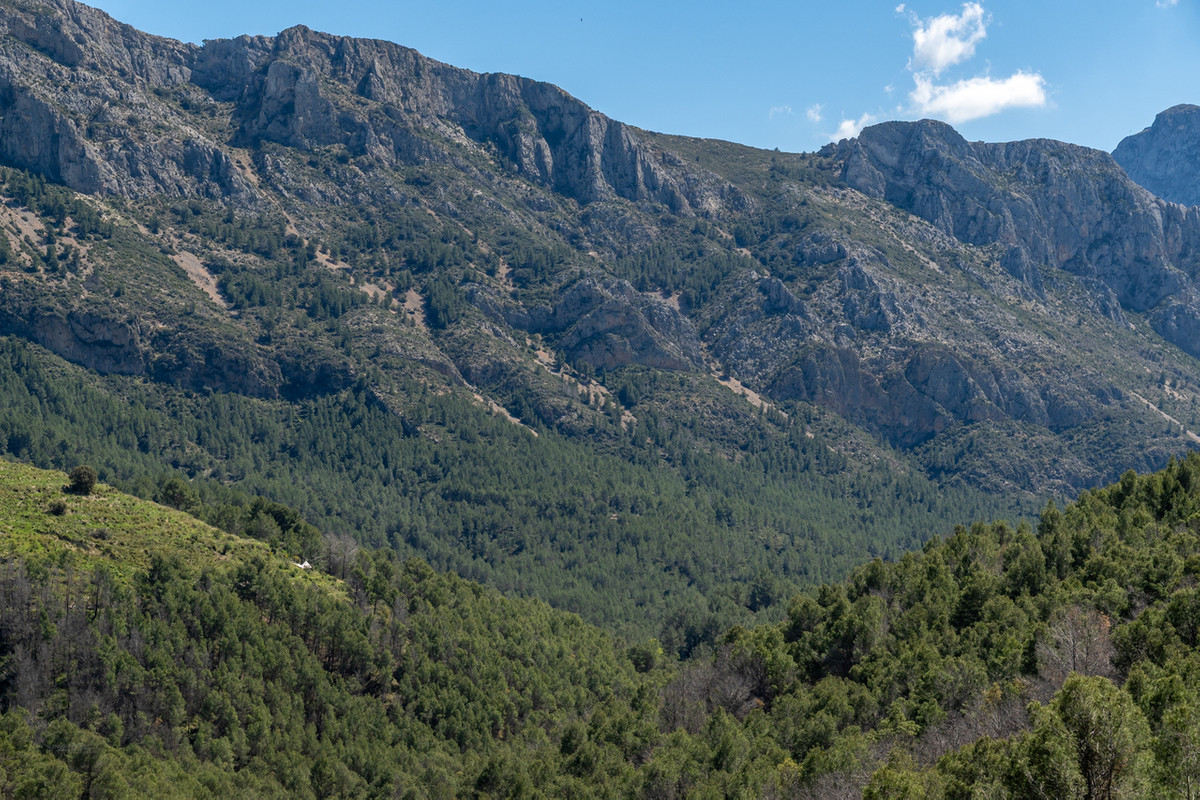 Property main view 45