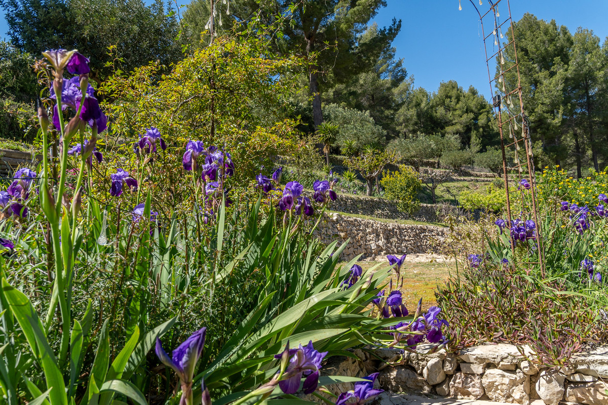 Property main view 47