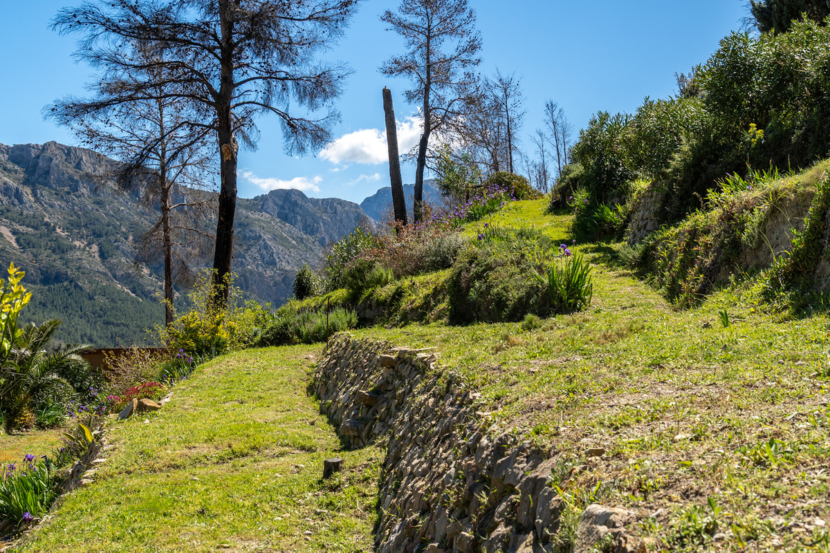 Property main view 49