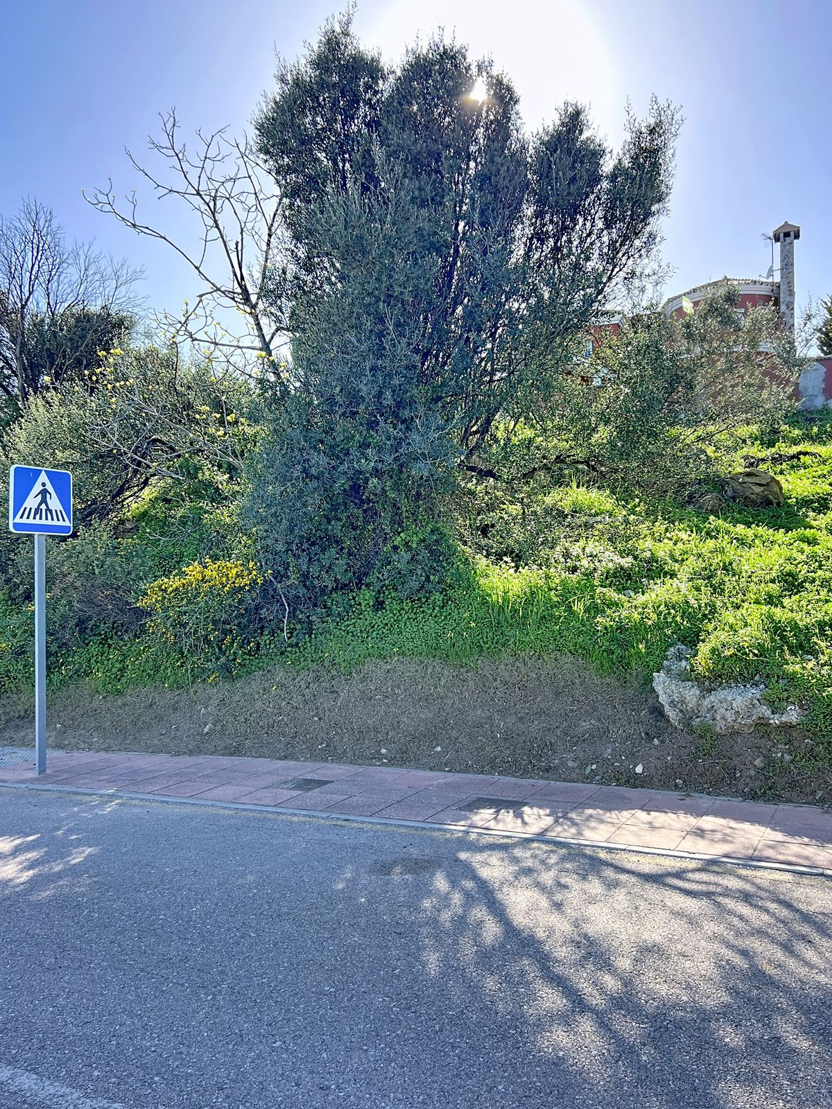 Percelen te koop in Valle Romano | 0 slaapkamers H5329480