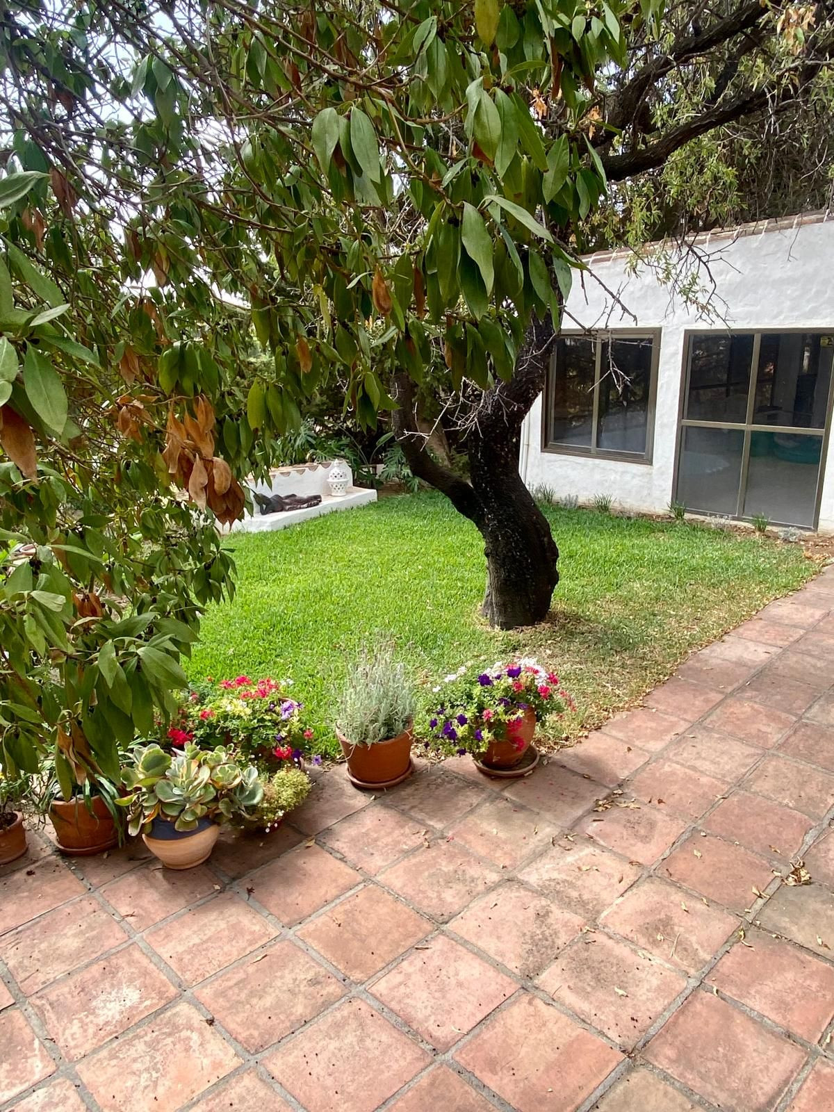 Finca - Cortijo in Valtocado-55
