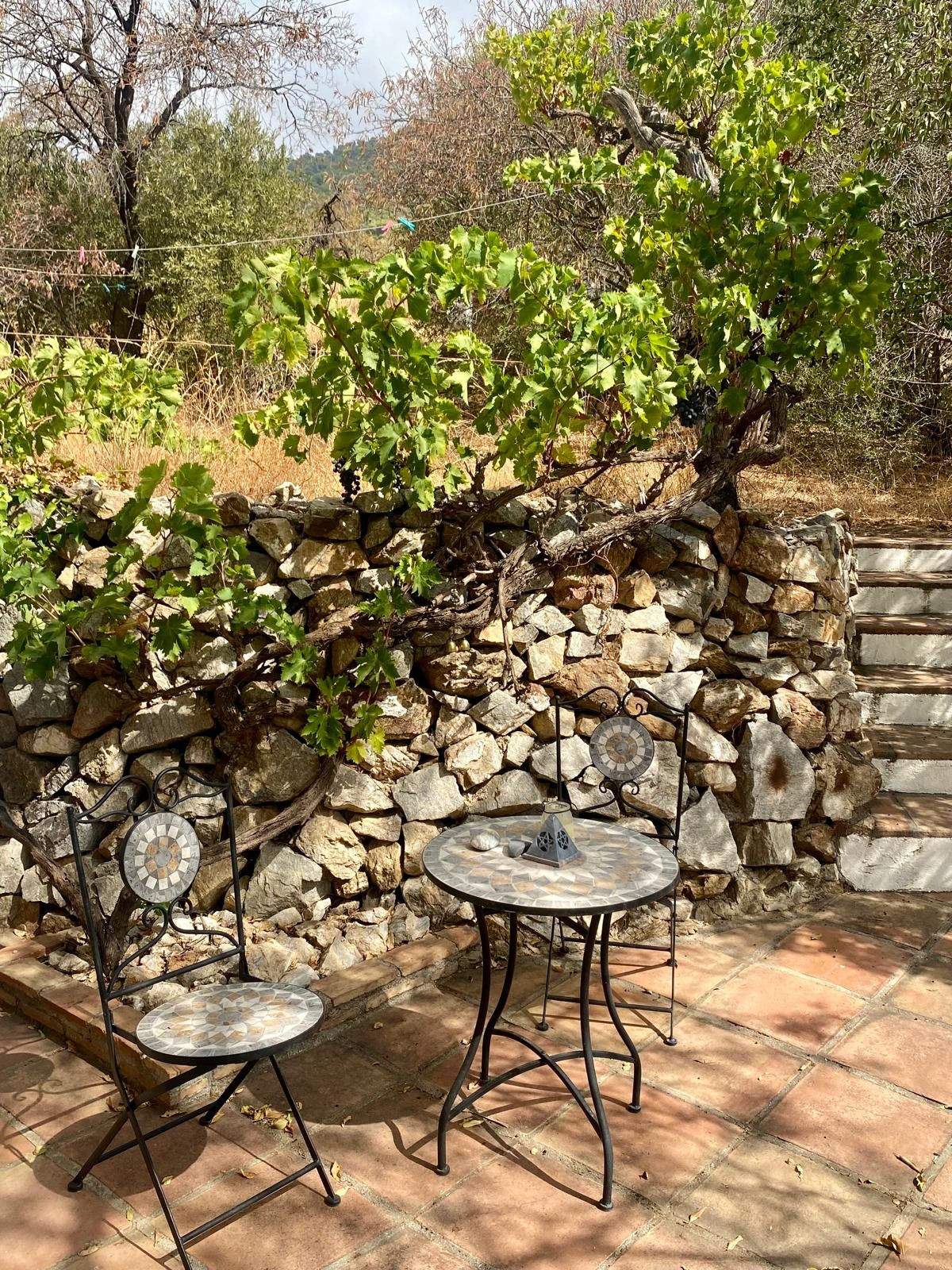 Finca - Cortijo in Valtocado-56