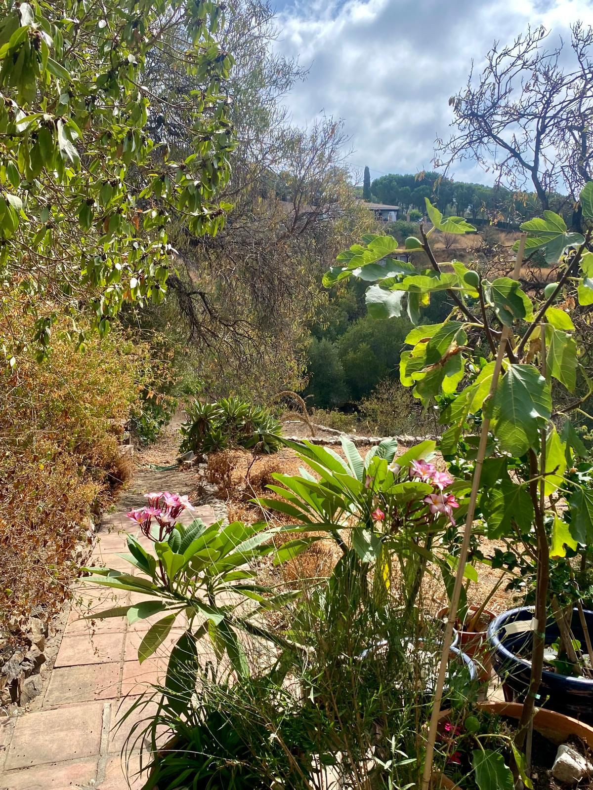 Finca - Cortijo in Valtocado-62