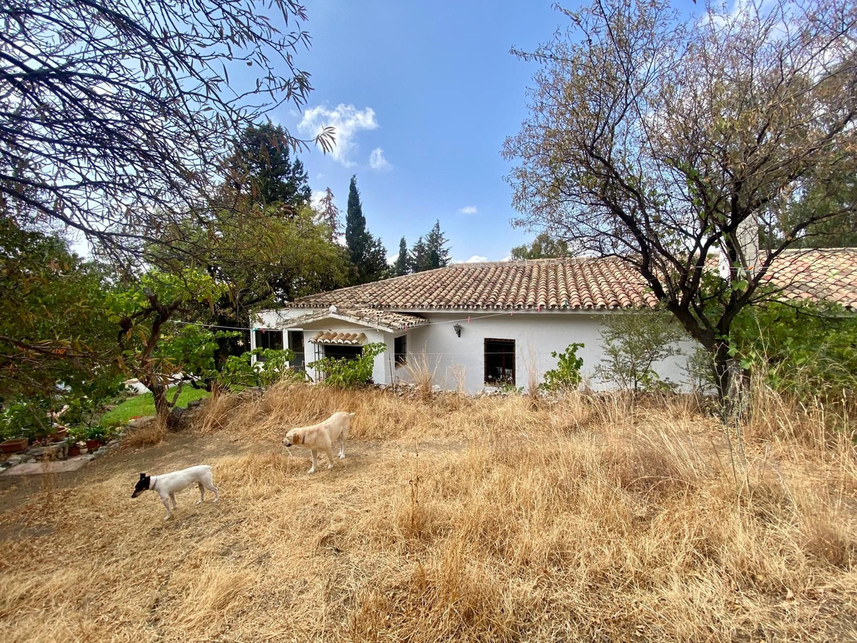 Finca - Cortijo in Valtocado-63
