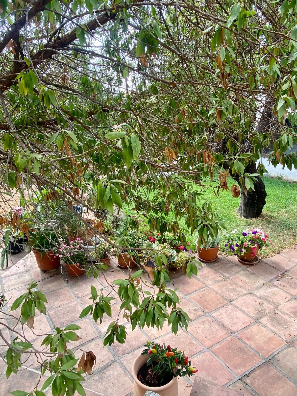 Finca - Cortijo in Valtocado-65