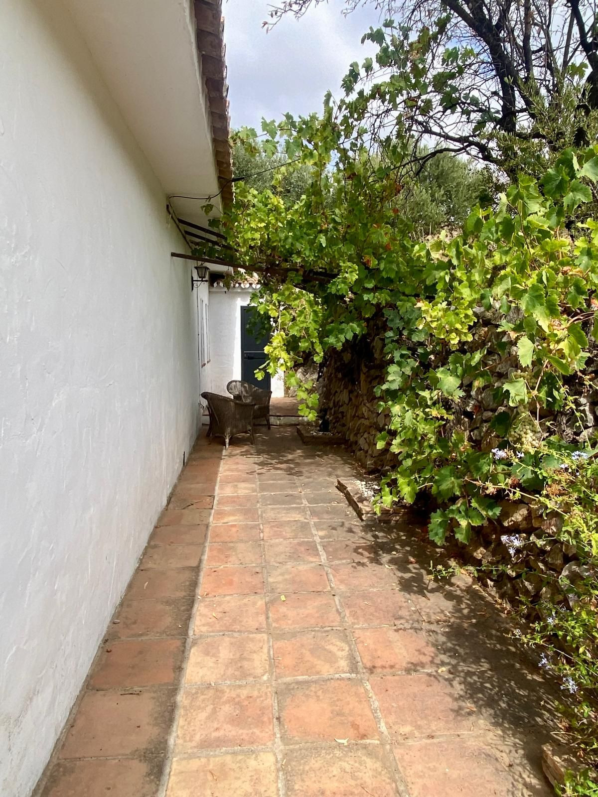 Finca - Cortijo in Valtocado-66