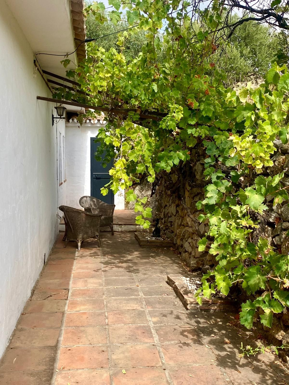 Finca - Cortijo in Valtocado-67