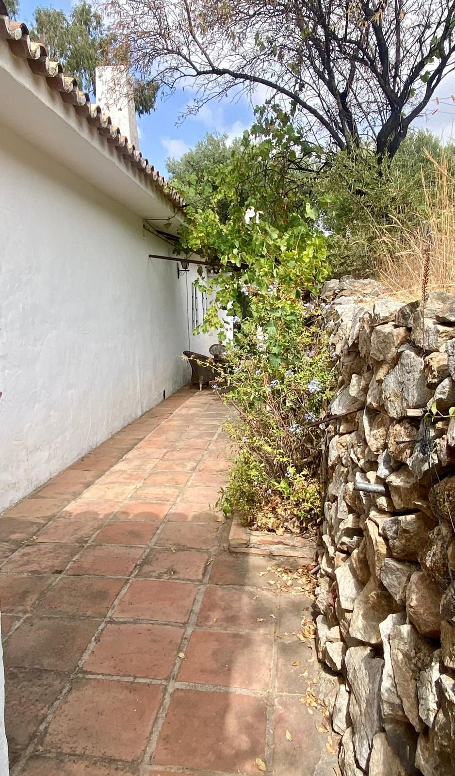 Finca - Cortijo in Valtocado-68