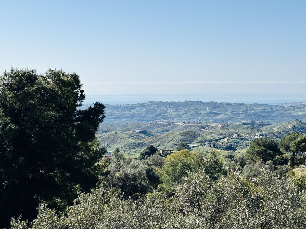 Property main view 3