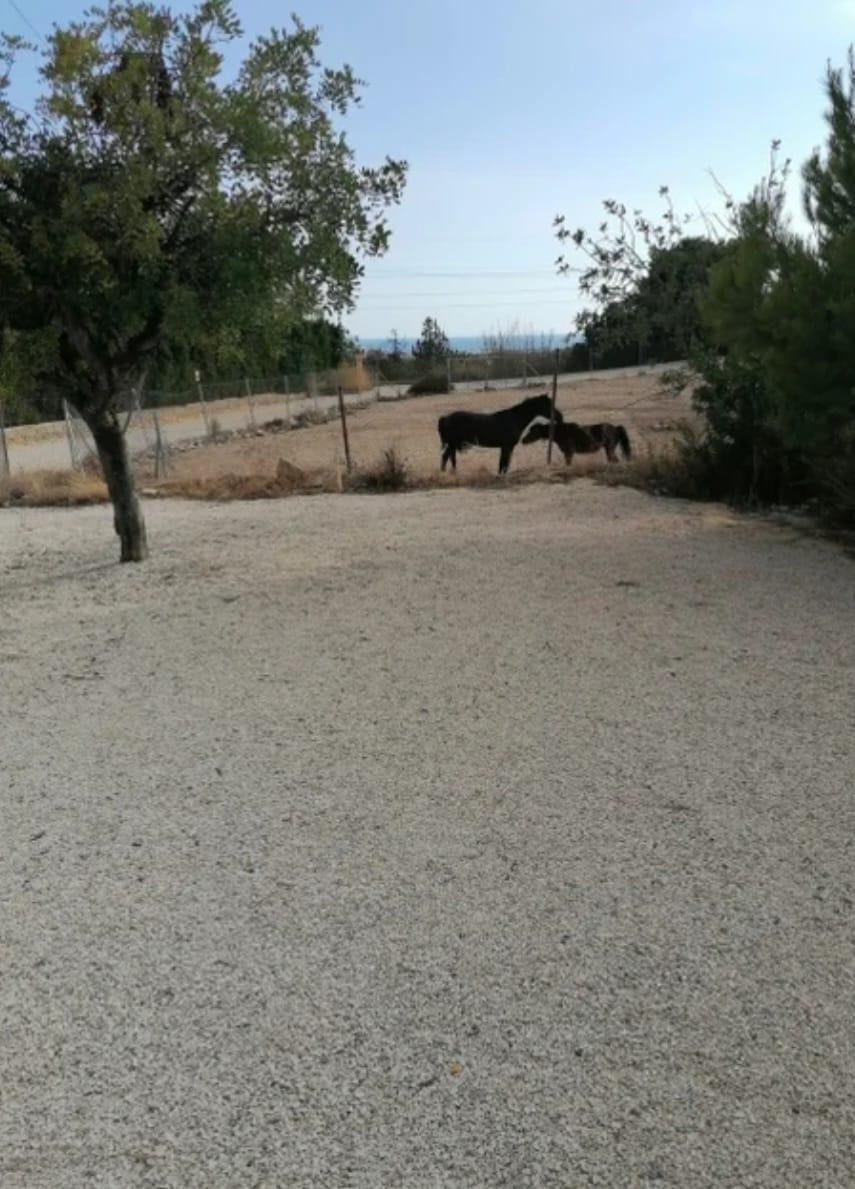 Property main view 12