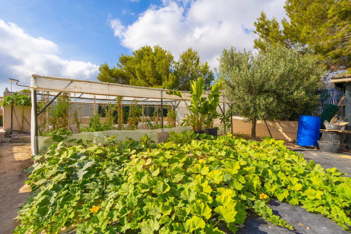 Huis te koop in Villamartin | 4 slaapkamers H5355544