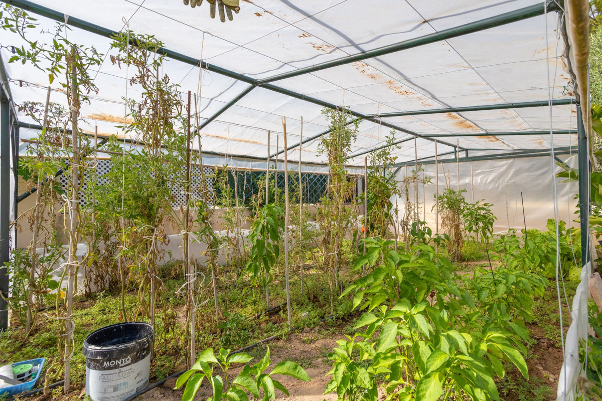 Huis te koop in Villamartin | 4 slaapkamers H5355544