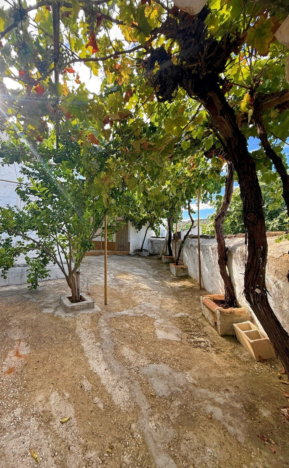 Huis te koop in Villanueva de Algaidas | 5 slaapkamers H5122699