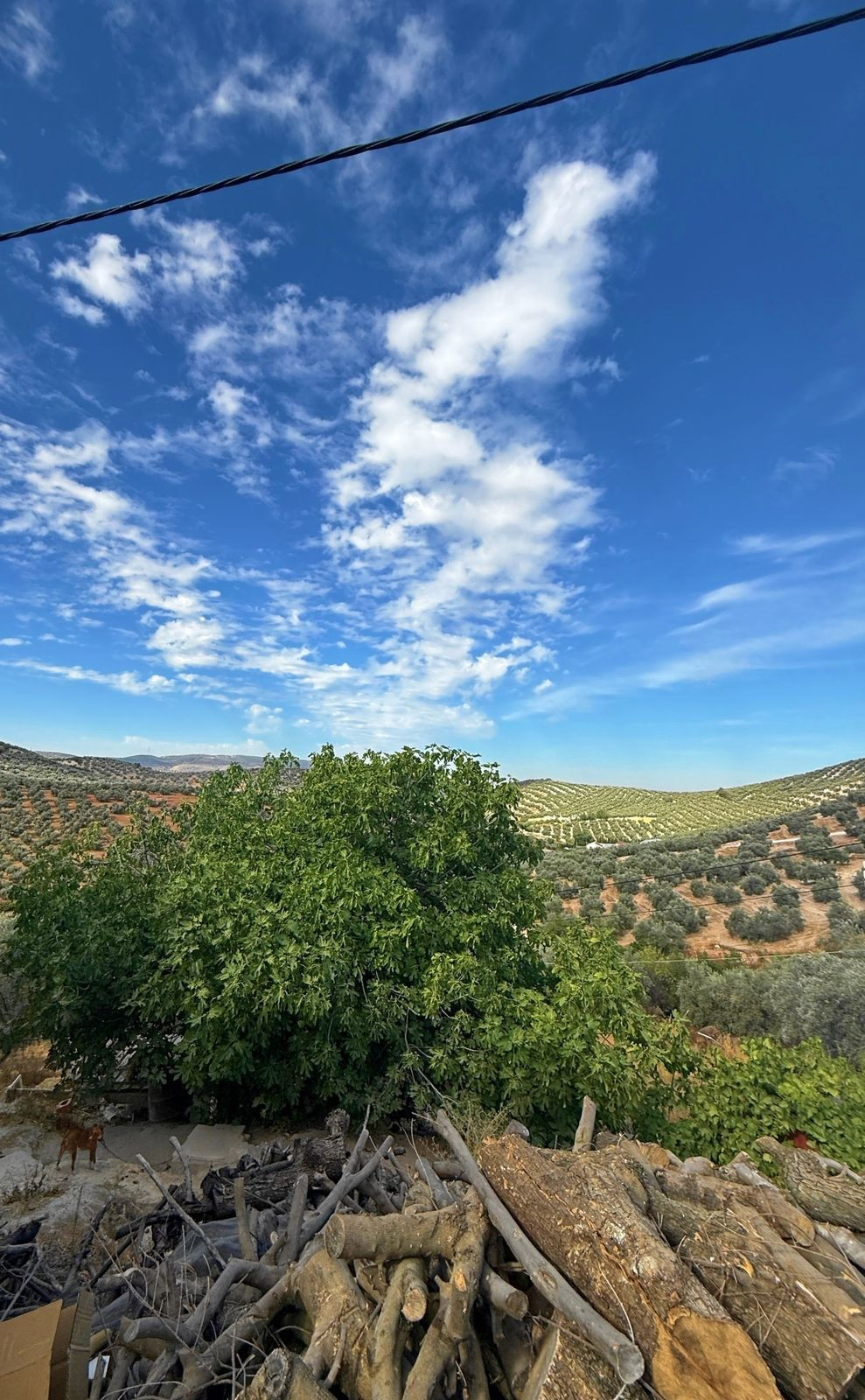 Huis te koop in Villanueva de Algaidas | 5 slaapkamers H5122699
